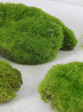 森系造景假山布置仿真植绒青苔草皮草坪微景观仿真假石头苔藓块