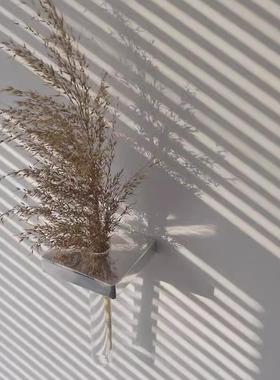 中古仓mooore创意壁挂花器玄关墙面装饰干枝插花玻璃试管水培花瓶