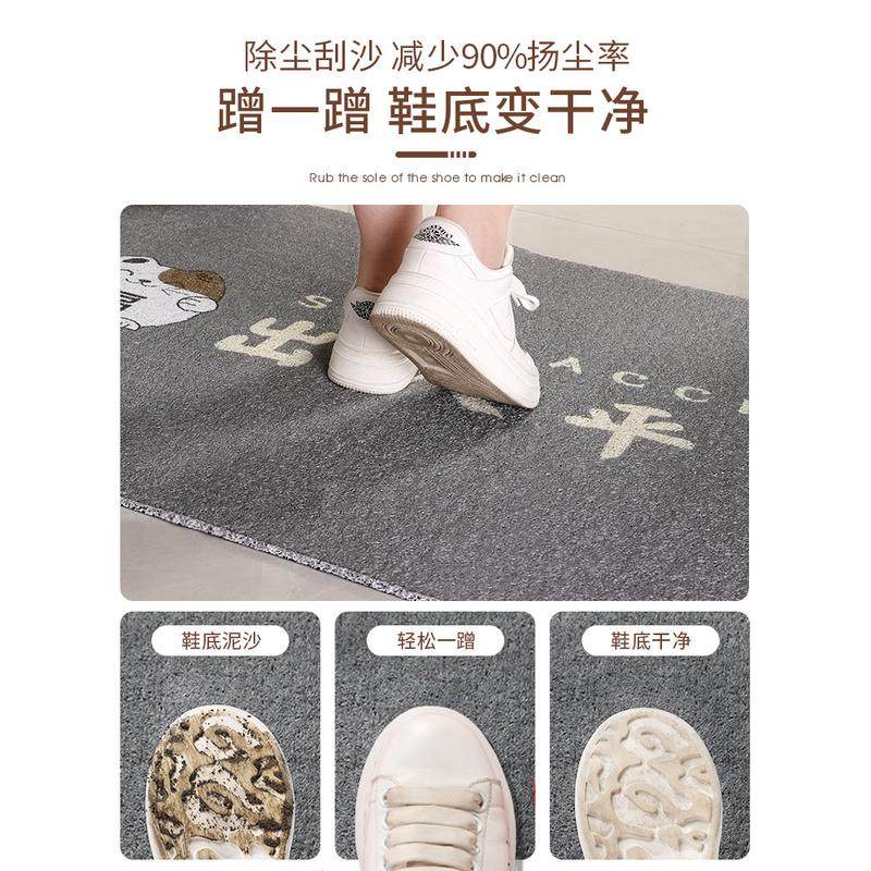 入户门地垫进门门口脚垫玄关2023新款丝圈门垫耐脏除尘进户门地毯,淘宝优惠券,粉丝福利购,淘宝优惠卷