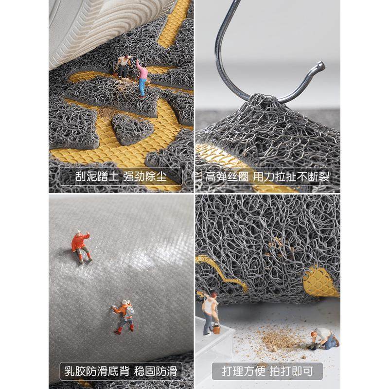 入户门地垫进门门口丝圈脚垫2023新款玄关门垫除尘耐脏进户门地毯,淘宝优惠券,粉丝福利购,淘宝优惠卷