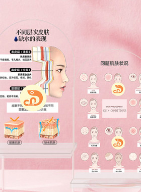 医美面部整形装饰品立牌每层肌肤吃什么亚克力美容院护肤品店摆件