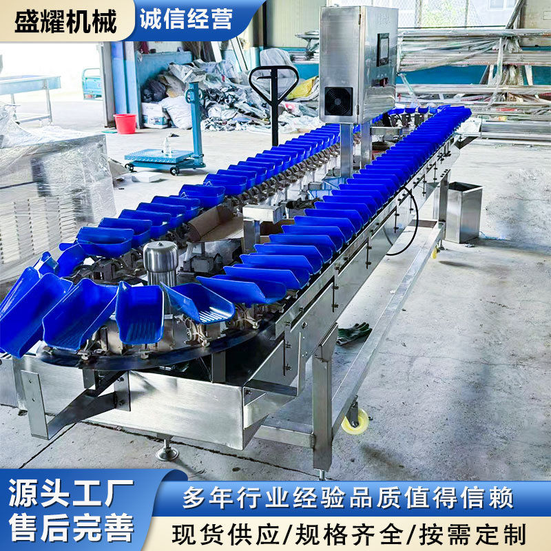甲鱼重量分选机 7级鲜活产品称重分拣机 青枣自动称重分级机 盛耀,淘宝优惠券,粉丝福利购,淘宝优惠卷