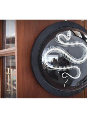 [太空舱]蛇骨骼 真骨 软装酒吧装饰 ins礼品挂饰圆形