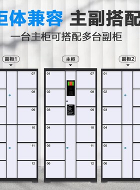 超市电子存包柜商场寄存柜人脸识别指纹条码智能储物柜手机存放柜
