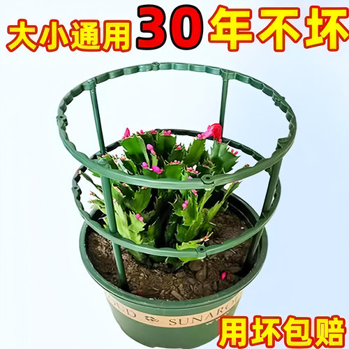 花架子室内家用支架通用型蟹爪兰花架莲花护叶架园艺盆栽支撑杆 - 图3