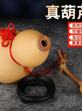 天然带特大闭口带籽真葫芦摆件门对门家龙居小葫挂芦WW00111件开