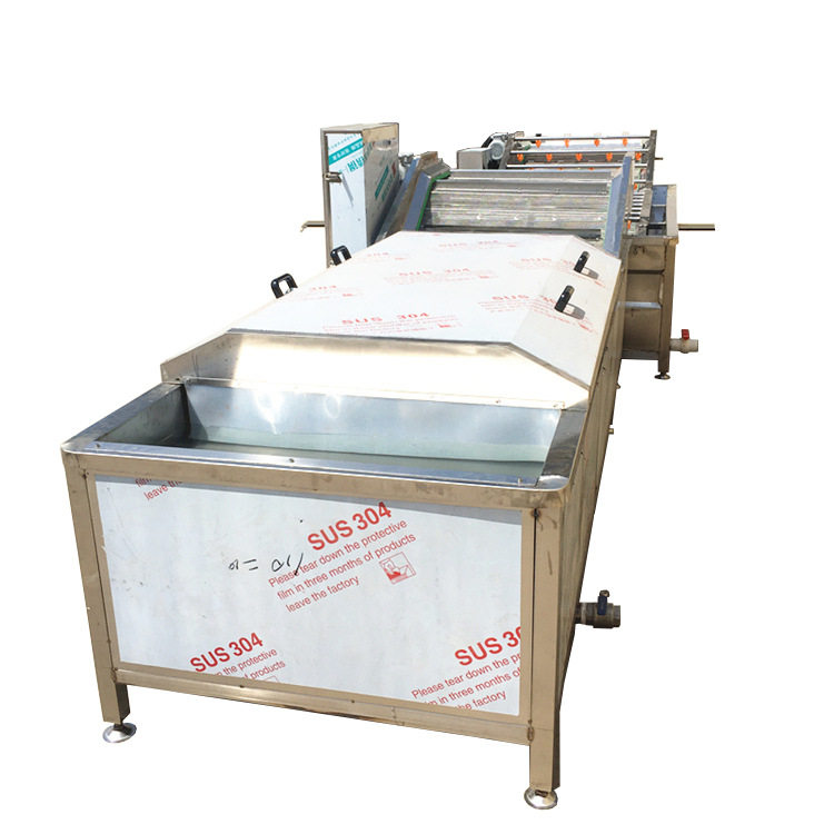 鱼肉丸虾丸成型机 全自动菠菜丸子机 牛肉丸子加工蒸煮流水线创业,淘宝优惠券,粉丝福利购,淘宝优惠卷