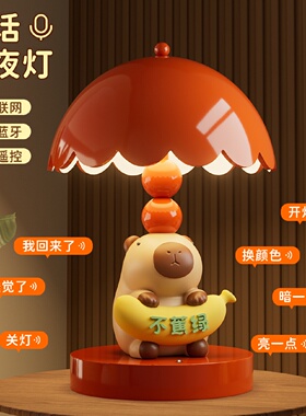可爱卡皮巴拉台灯摆件卧室床头装饰小夜灯送女生乔迁新居生日礼物