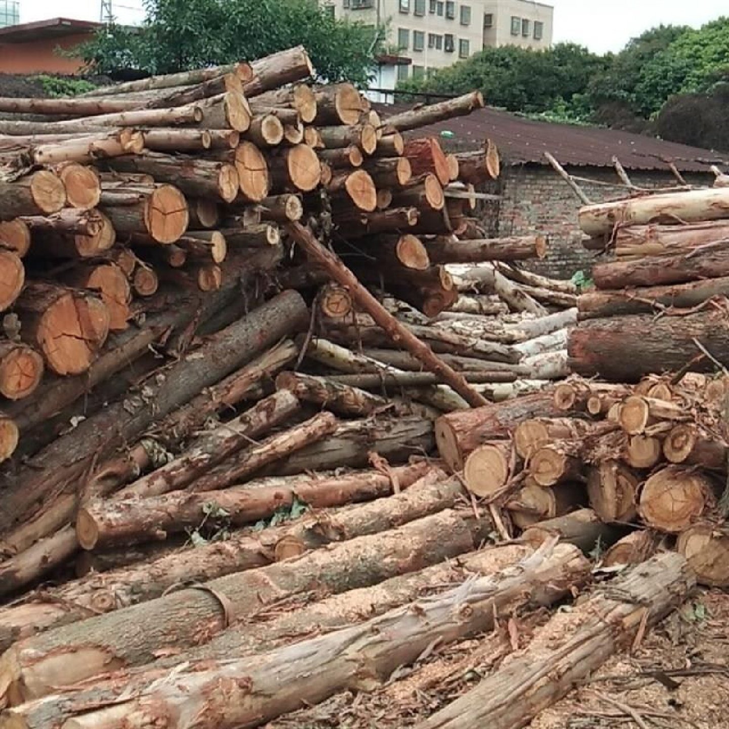 实木露营防潮台垫高台垫板卡板栈板木架床出租屋落地床板木质托盘,淘宝优惠券,粉丝福利购,淘宝优惠卷