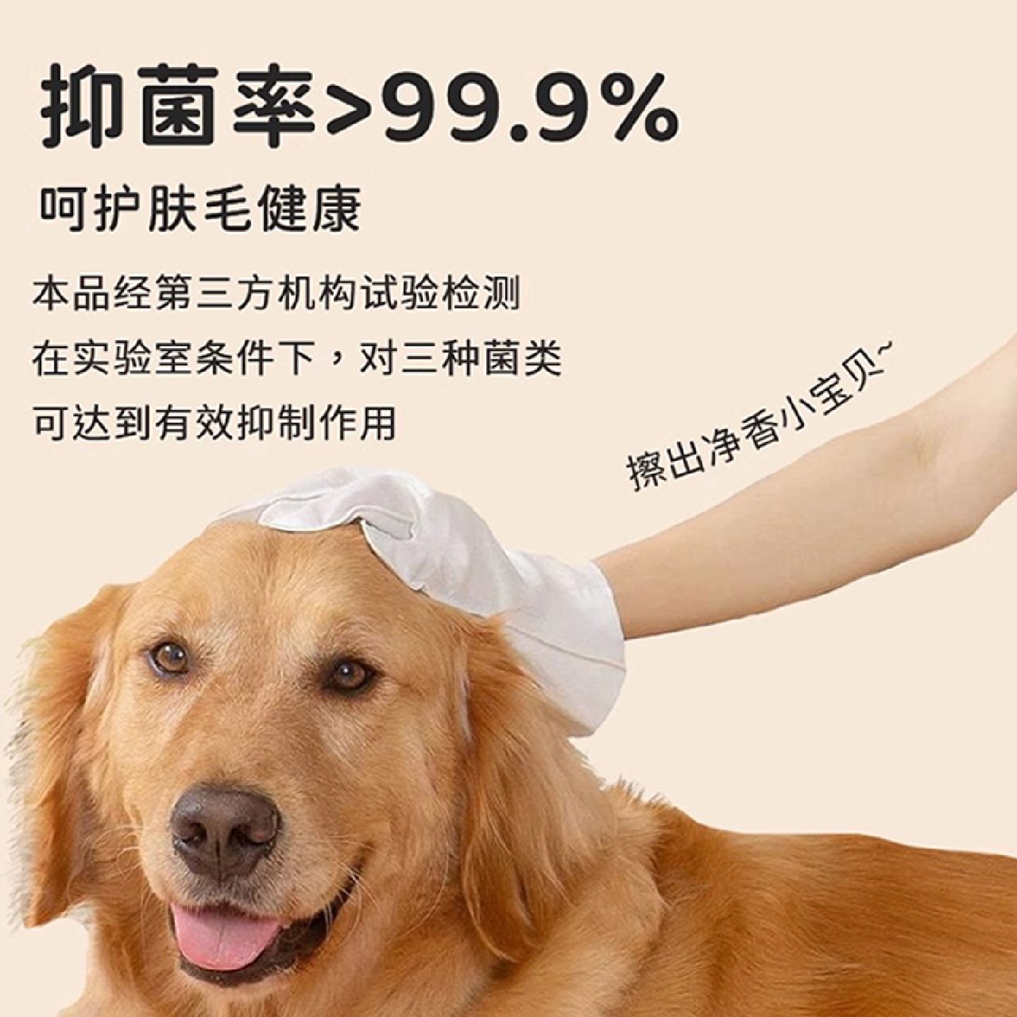 宠物免洗手套猫咪狗狗小猫小狗抑菌干洗澡清洁湿巾纸巾用品,淘宝优惠券,粉丝福利购,淘宝优惠卷