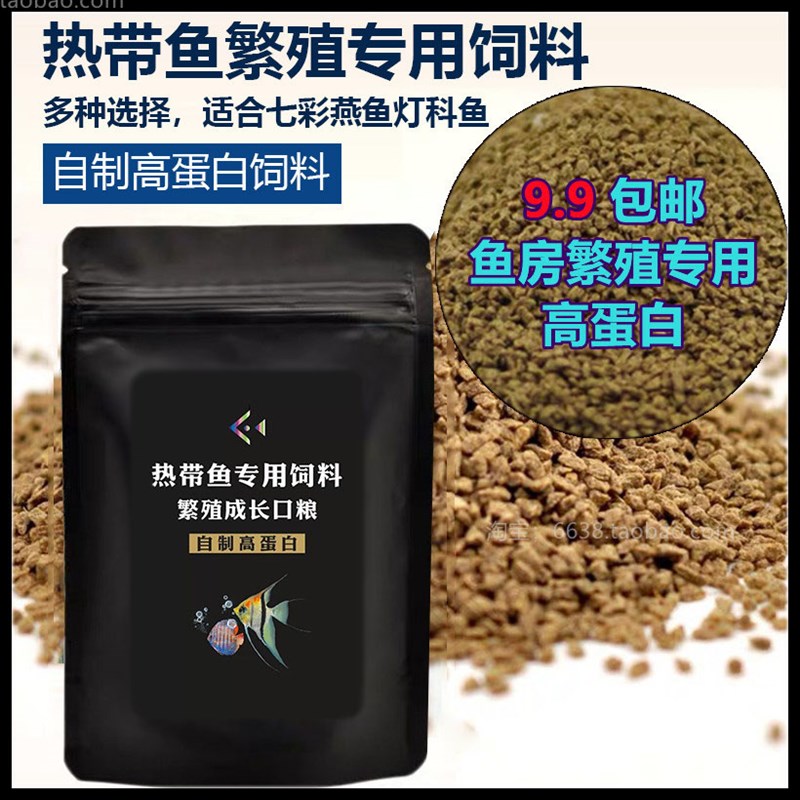 七彩神仙燕鱼金波子迷你鹦鹉孔雀鱼繁殖金鱼开口专用高蛋白饲料 - 图0