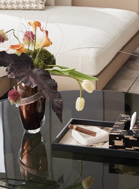 院会所商业空间休息区茶几洽谈桌装饰托盘瓶小软装搭配