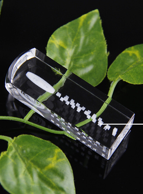 定制大学生毕业季礼物水晶印章刻字聚会纪念品送全班级学生同学