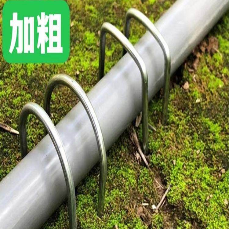 滴灌管铁丝卡子固定器地钉加粗镀锌草坪大棚实用园艺工具订制热卖,淘宝优惠券,粉丝福利购,淘宝优惠卷