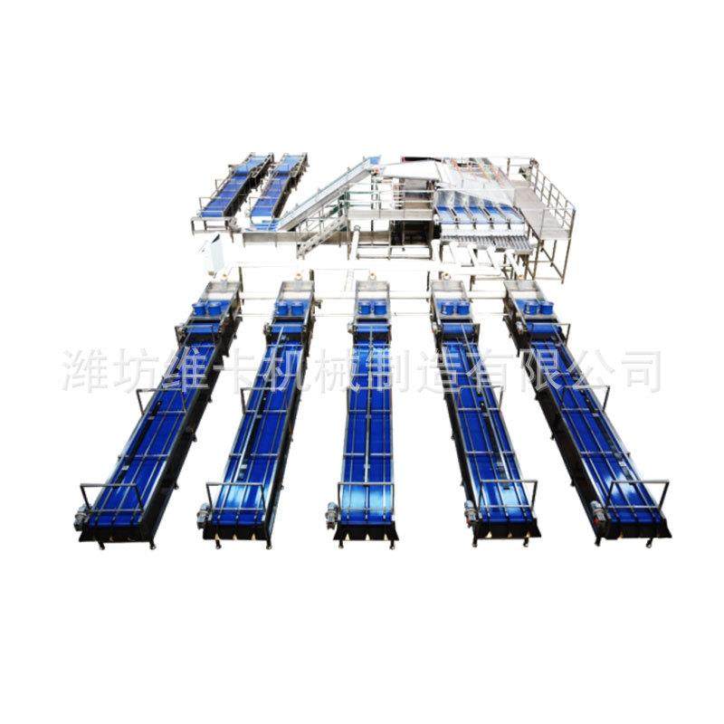 小型樱桃分拣流水线 预冷清洗风干打包 车厘子分选机分拣机厂家,淘宝优惠券,粉丝福利购,淘宝优惠卷