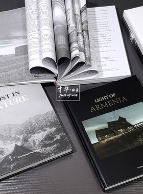 现代翻页装饰真书样板房软装饰品仿真书售楼处酒店书柜