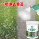 Moss Scavenger Deep Cleaner Cement Floor Moss Scavenger Home Environmental Cleaner Remover Green Green