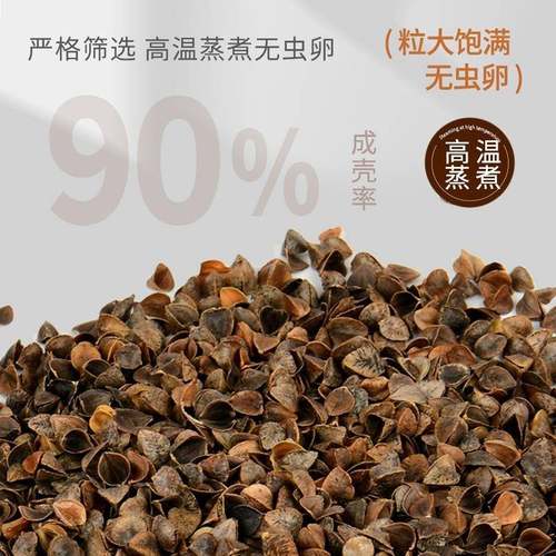 荞麦颈椎枕头连体枕护颈椎助睡眠三角枕成人硬荞麦壳枕可拆卸枕C& - 图2