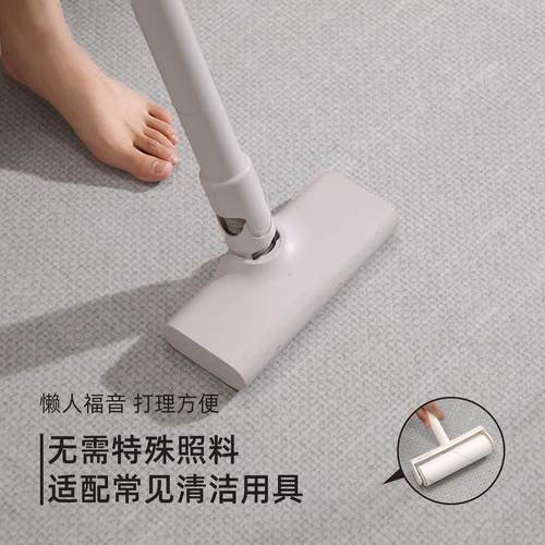 地毯客免洗可擦202XD202195新款轻奢高色级感灰免室打理沙发防水 - 图3