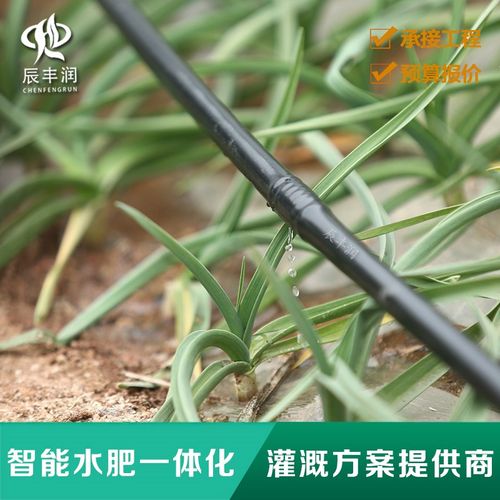 快速连接变径直接管件 pe pvc水管异径接头 滴灌配件 全新外接件 - 图0