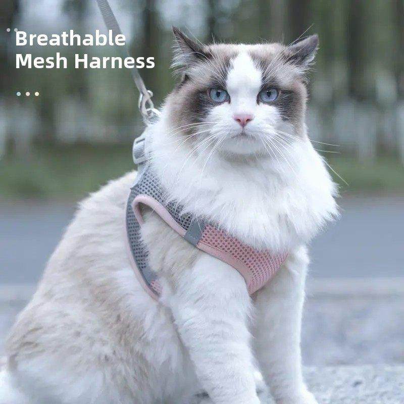 兔子牵引绳防挣脱遛小兔子专用神器背心式可伸缩外出的衣服溜绳子,淘宝优惠券,粉丝福利购,淘宝优惠卷