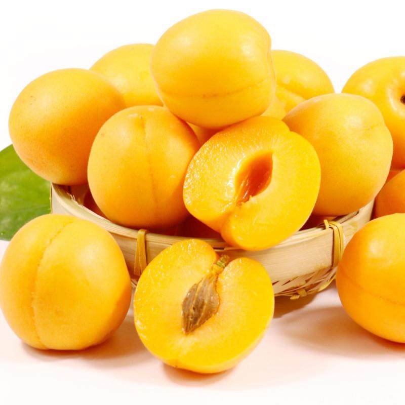 新货杏子新鲜大黄杏水果当应季5斤整箱现摘金太阳杏酸甜水果包邮,淘宝优惠券,粉丝福利购,淘宝优惠卷