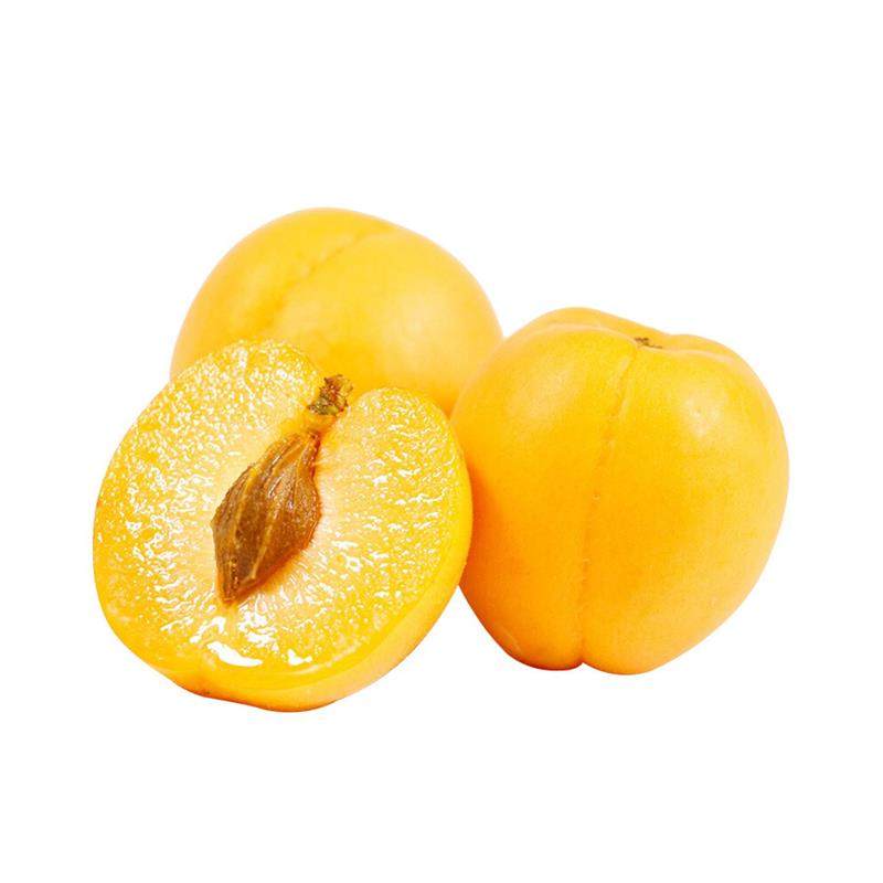 新货杏子新鲜大黄杏水果当应季5斤整箱现摘金太阳杏酸甜水果包邮,淘宝优惠券,粉丝福利购,淘宝优惠卷