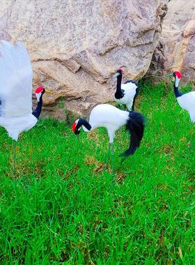 新品仿真丹顶鹤动物摆件羽毛工艺品创意家居摆件景区橱窗盆景装饰