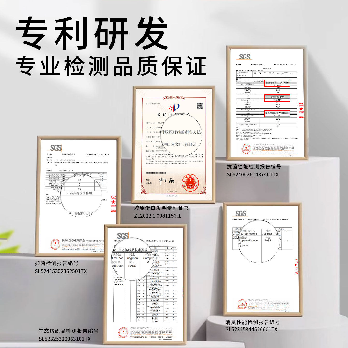 图 5