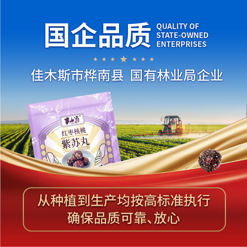 富含多种矿物质国企品质Omega-3红枣核桃紫苏丸118克/袋 - 图0