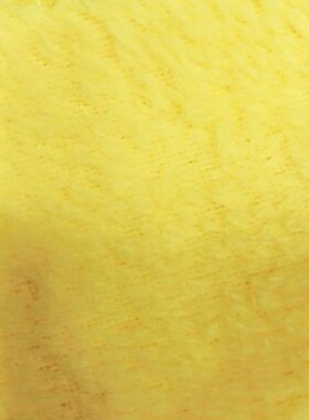 供应条纹素色服装家纺面料毛绒面料法兰绒面料