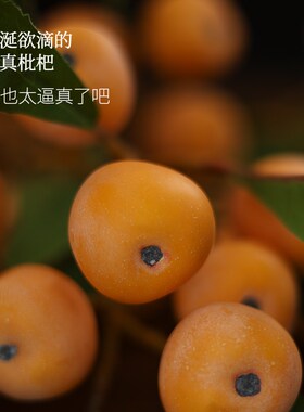枇杷仿真果树枝仿真假客厅摆设民宿酒店装饰插摄影道具