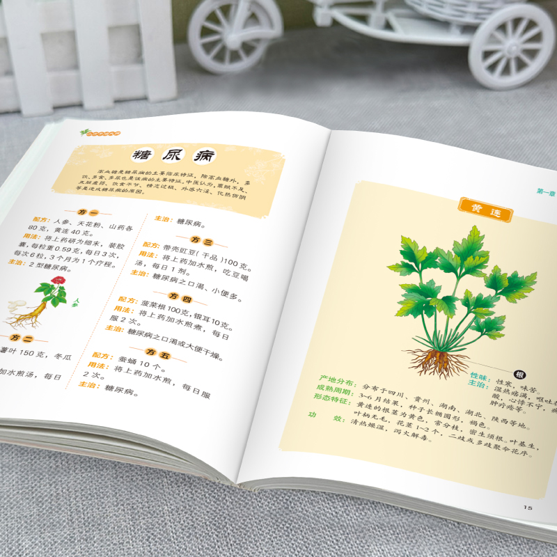 小方子治大病正版中医养生家庭健康保健简单实用老偏方秘方书籍中药药材剂量土方子土方法居家常备常见病随查随用营养健康百科全书 - 图2