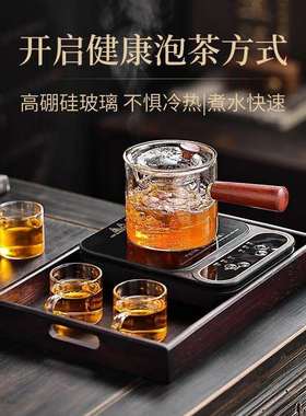 黑茶煮茶壶器蒸汽蒸茶壶家用黑电热烧全自动小型办公室网红喷淋式