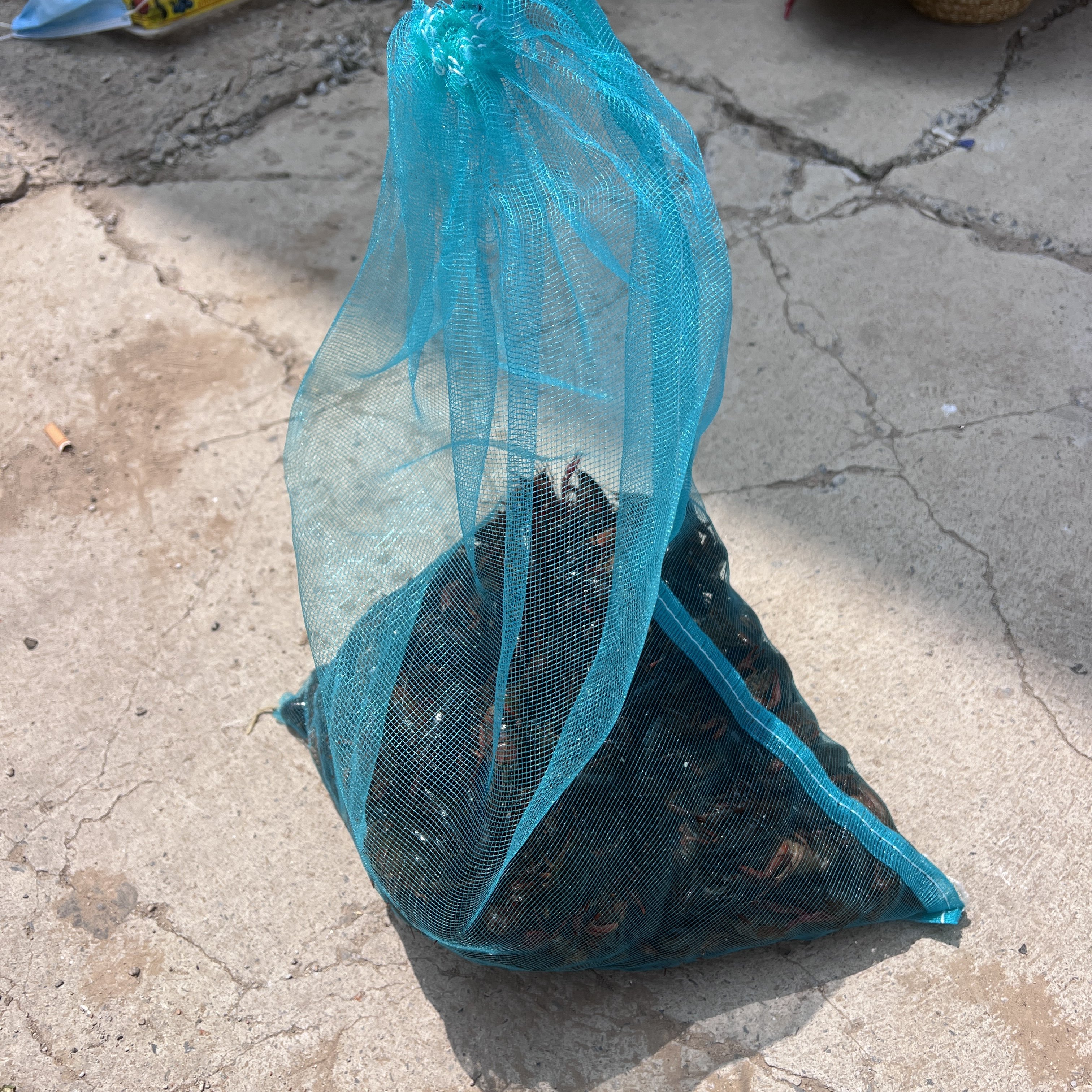 小龙虾网袋装鱼网兜水产塑料尼龙包装袋鸡鸭鹅家禽活禽透气纱网袋,淘宝优惠券,粉丝福利购,淘宝优惠卷