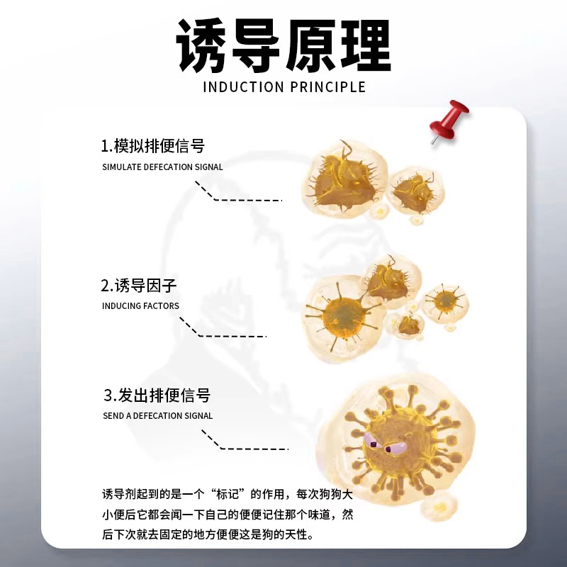 狗狗定点上厕所神器专研狗定点排便神器上厕所诱导剂大小便训练 - 图1