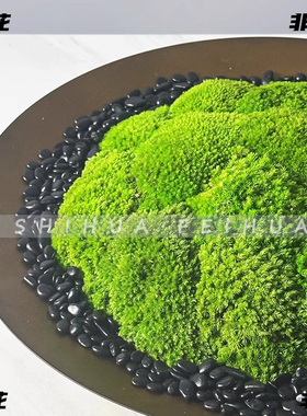 饰花非花永生苔藓花艺摆间样板间