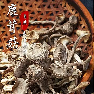 鹿茸菇干货云南特产菌菇袋装净重100克[11元优惠券]-寻折猪