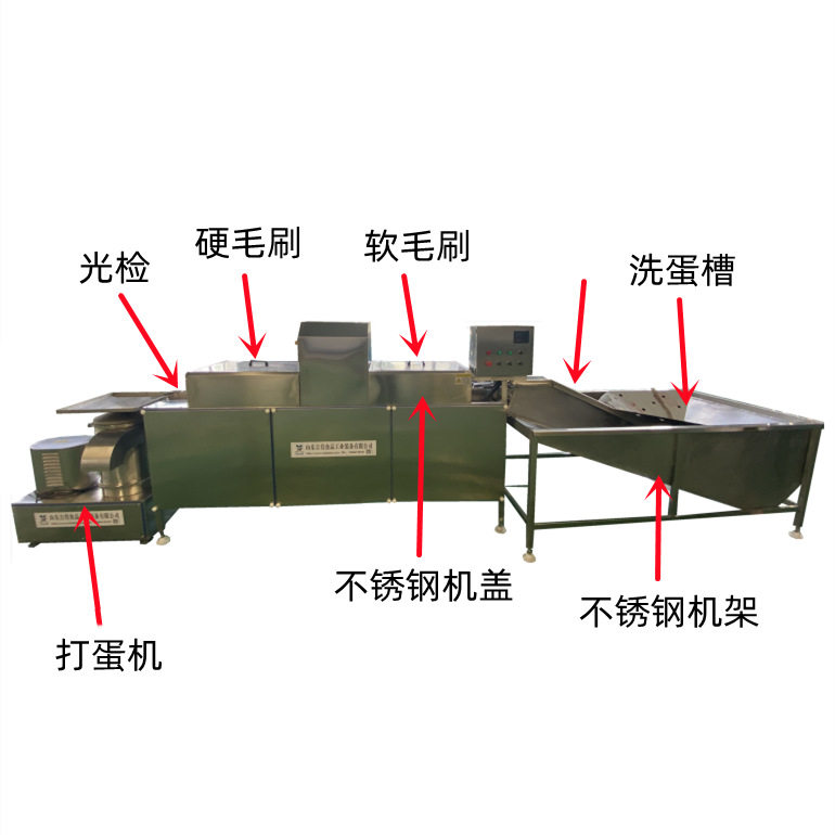 不锈钢双排冲洗蛋机 鸡蛋清洗分级流水线 大型盐水蛋松香蛋去泥机,淘宝优惠券,粉丝福利购,淘宝优惠卷