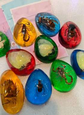 大号昆虫标本琥珀蝎子项链蝴蝶吊坠知了虫珀原石儿童礼物小学课本