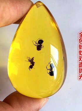 琥珀昆虫标本蝎子双面抛光吊坠