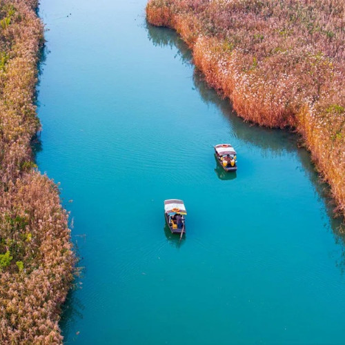 【红色研学】杭州西溪湿地国家森林公园+五九批示纪念馆 - 图2
