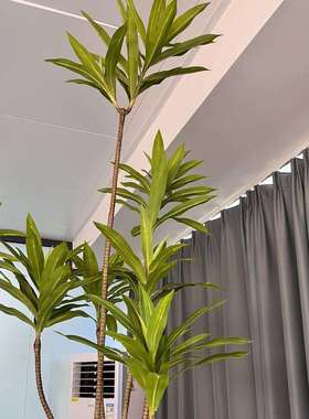 仿真绿植假植物仿真8头170cm百合竹摆件室内家居客厅盆栽大型造景