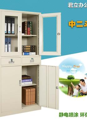 文件柜铁皮柜器械柜办公柜档案资料柜财务凭证柜办公室收纳书柜子