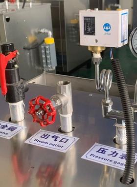 煮粥用小型电加热蒸煮机煮豆浆操作简单热源机全自动免司炉工