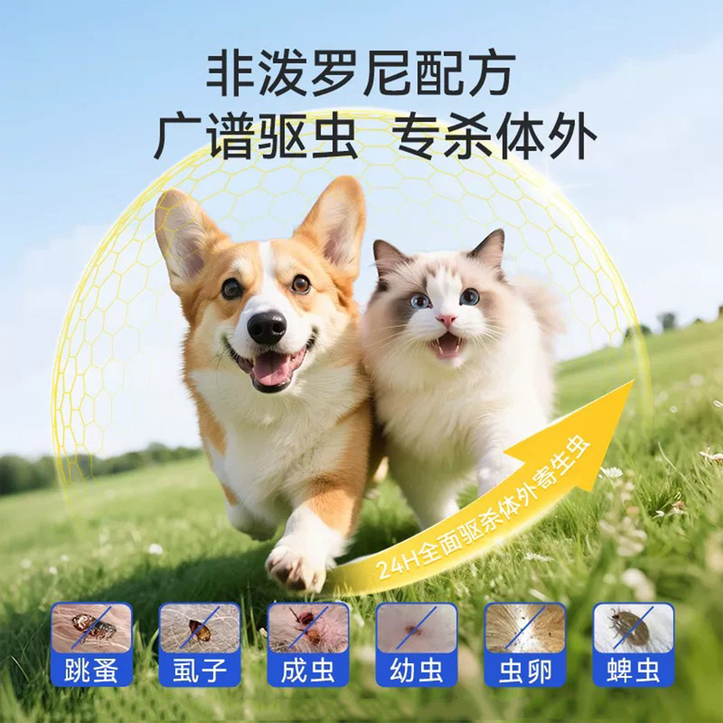 图 5
