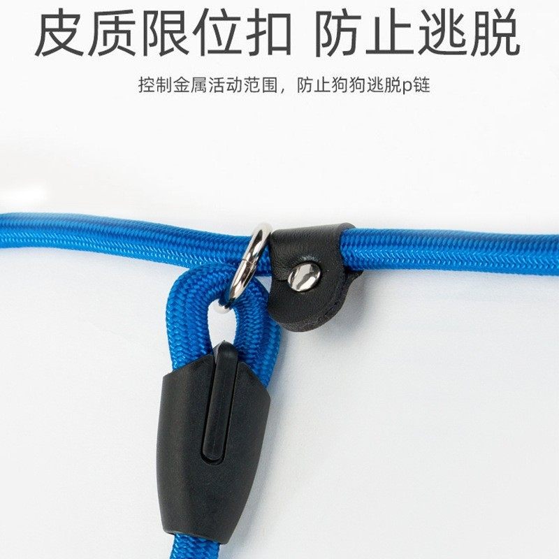 狗狗牵引绳栓溜p链套脖中型小型犬防爆冲泰迪防挣脱宠物用品,淘宝优惠券,粉丝福利购,淘宝优惠卷