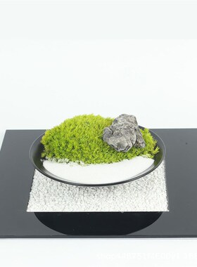 现代新侘寂风会所桌面永生苔艺样板房间软装饰品微景观