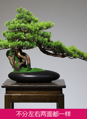 迎客松盆景新家居客厅玄关办公室茶室架仿真绿植装饰品