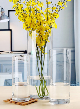 圆柱直筒瓶客厅橱落地欧式水培吊钟器